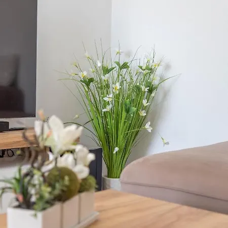 Gæstehus Edi - Zf Hvar