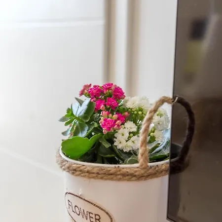 بيت ضيافة Edi - Zf Hvar 4*